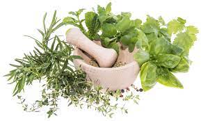 Embracing Nature's Remedies The Ascension of Natural Medicine in Global Healthcare