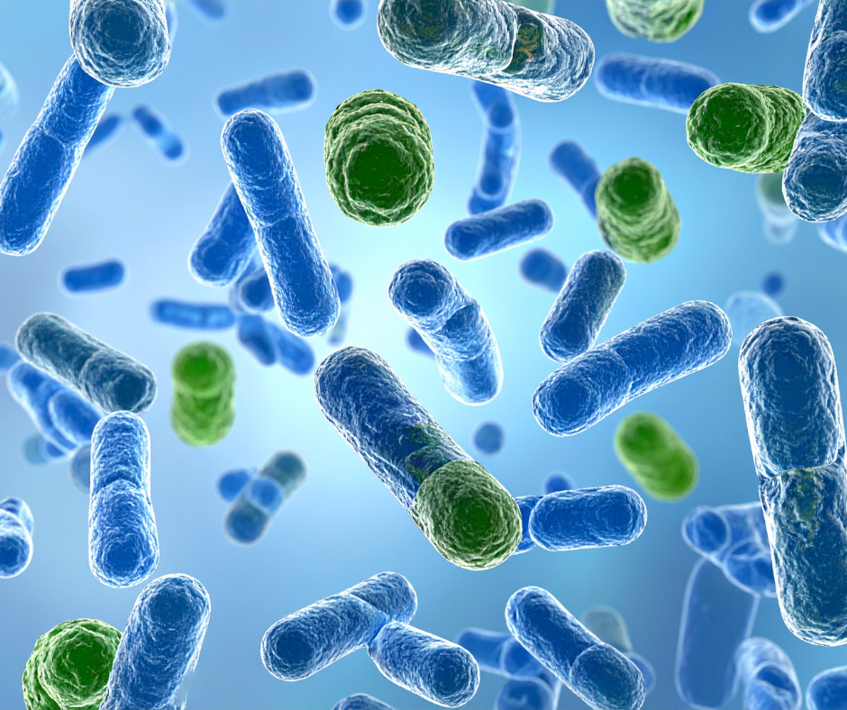 When Bacteria Breach the Skin’s Barrier: Understanding, Preventing, and Treating Infections Before They Spread