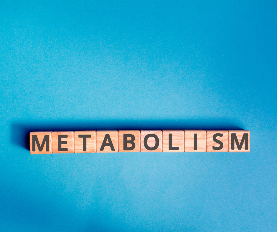 Does Your Metabolism Really Slow Down With Age? The Truth About Aging and Fat Burn